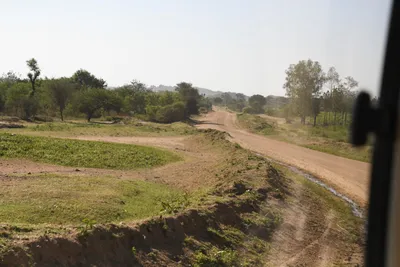 DSC_2707 (Large).JPG